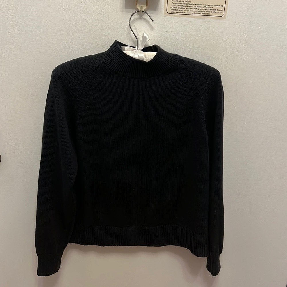 Everlane Sweater